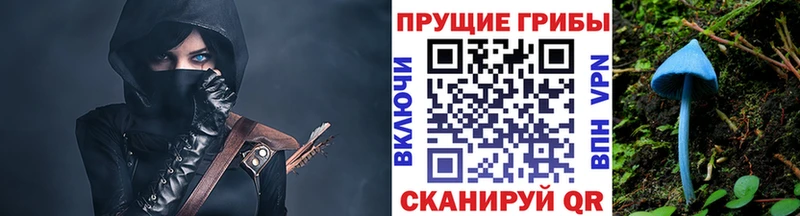Псилоцибиновые грибы мицелий  Миллерово 